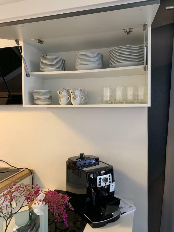 Luxus Appartement Bruehlervorstadt Erfurt Dış mekan fotoğraf